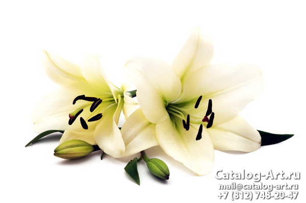 White lilies 12